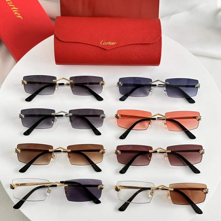 Picture of Cartier Sunglasses _SKUfw79479291fw